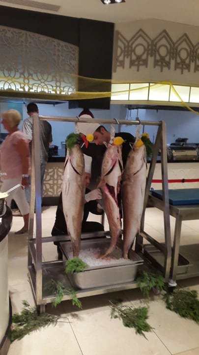 Frische Thunfische Well Palace Side