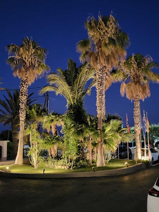 Gartenanlage Tylissos Beach Hotel