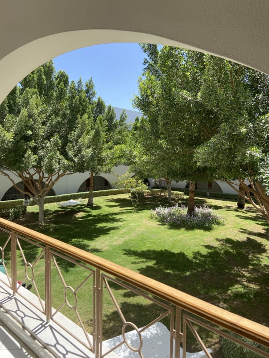 Ausblick Desert Rose