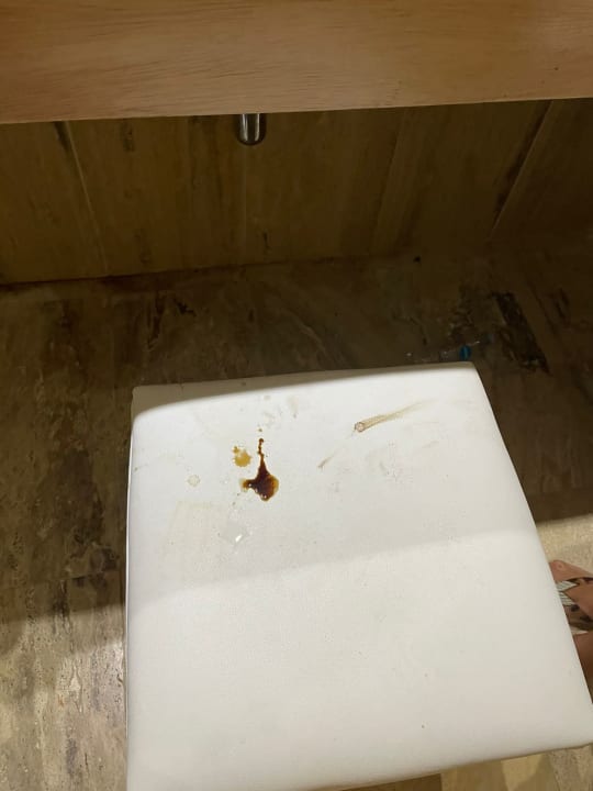 Zimmer Hotel Viva Dominicus Palace by Wyndham-All Inclusive Resort