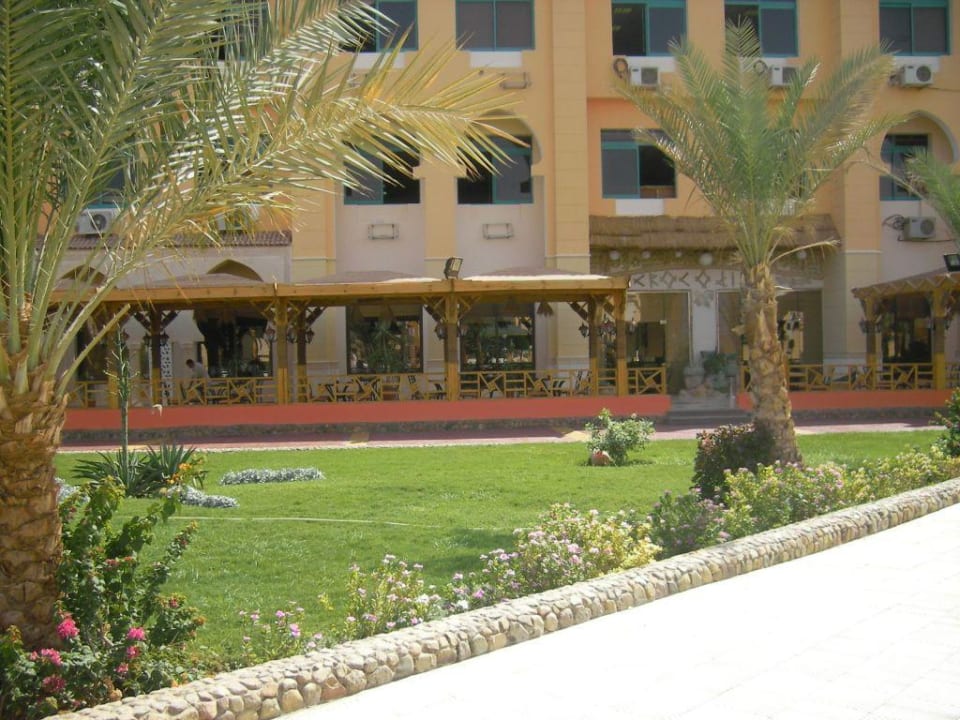 Crokodile Pickalbatros Aqua Park Resort - Hurghada