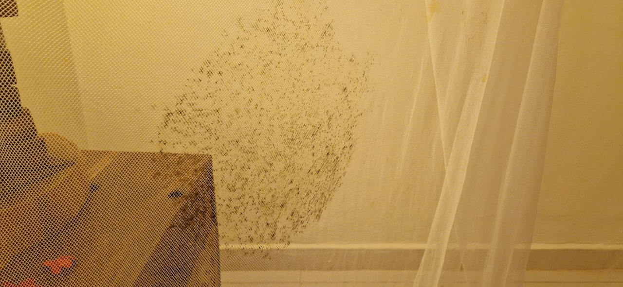 Zimmer Hotel Kiwengwa Beach Resort