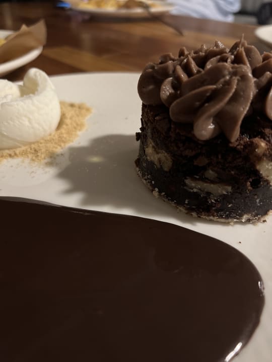 Gastro Papillon Ayscha