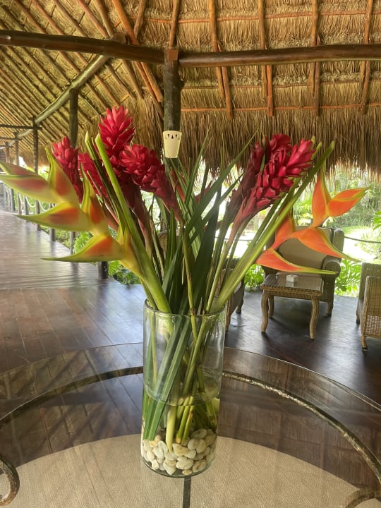 Lobby Akumal Bay Beach & Wellness Resort