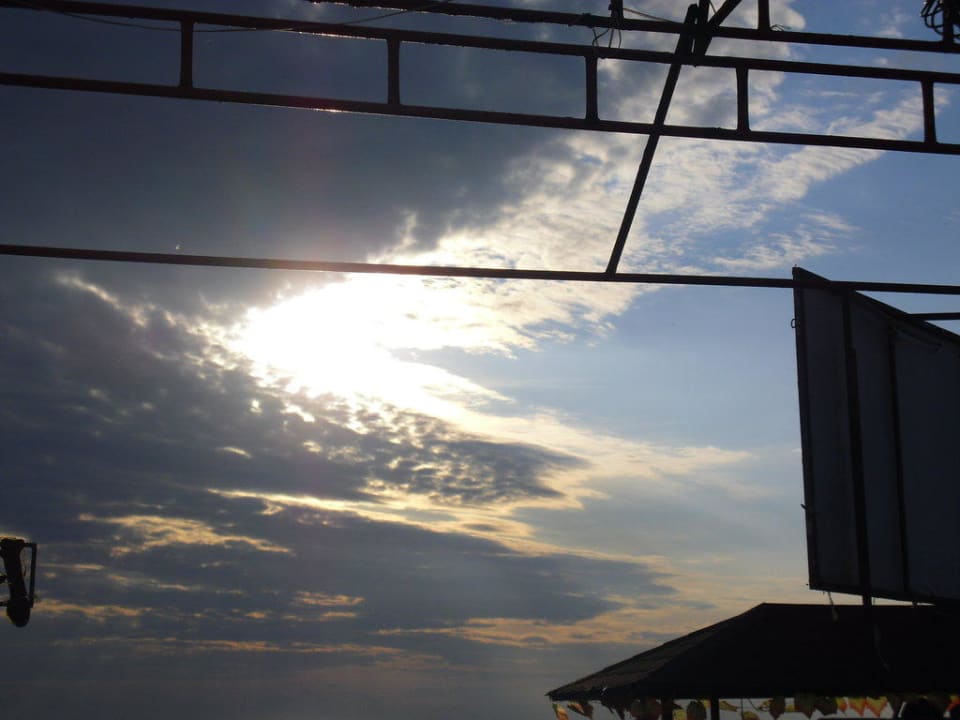 Sentido PALOMA Perissia