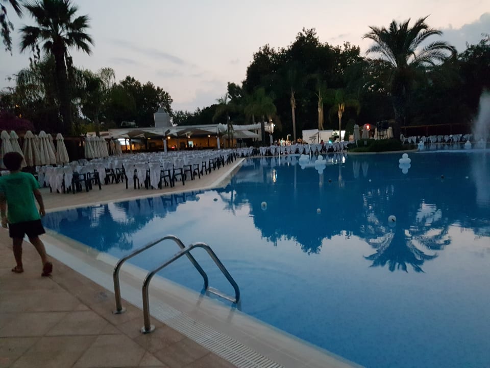 Pool Side Star Elegance