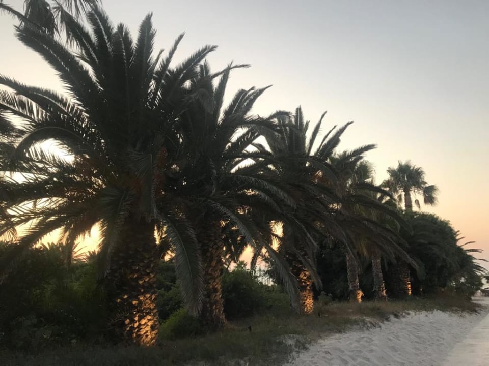 Außenansicht Caravia Beach Hotel