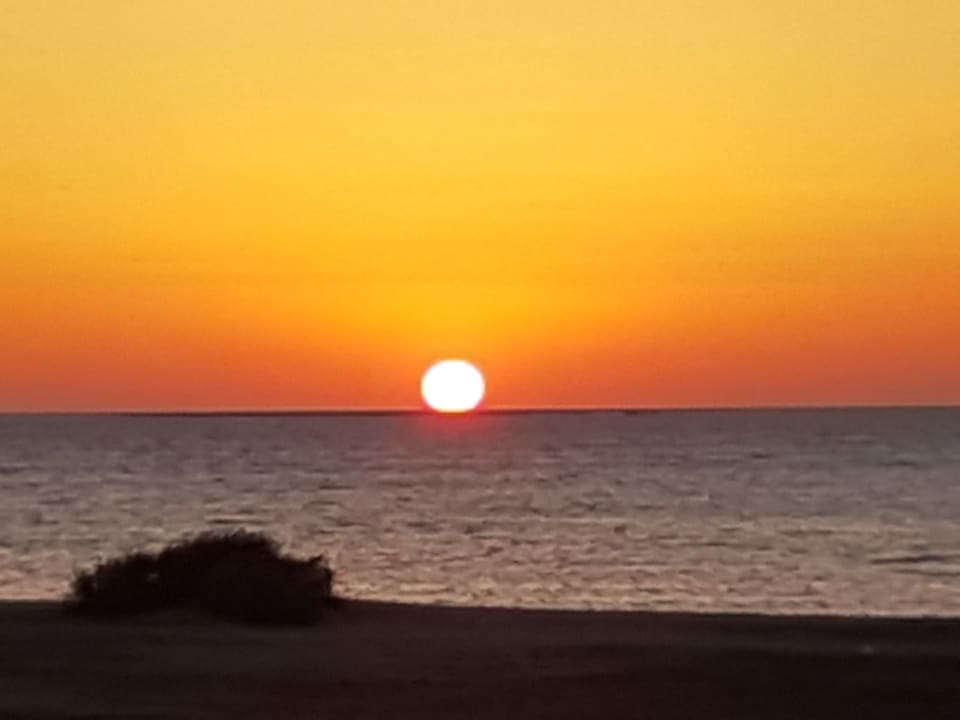 Strand Shams Prestige Abu Soma-Adults Only