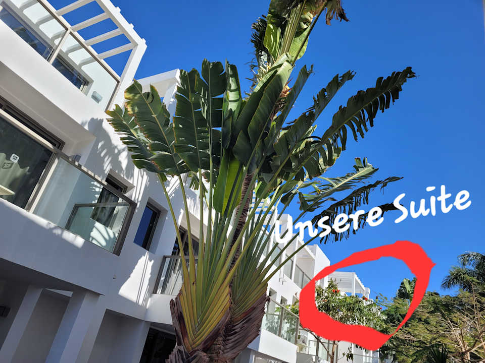 Außenansicht R2 Bahía Playa Design Hotel & Spa - Adults Only