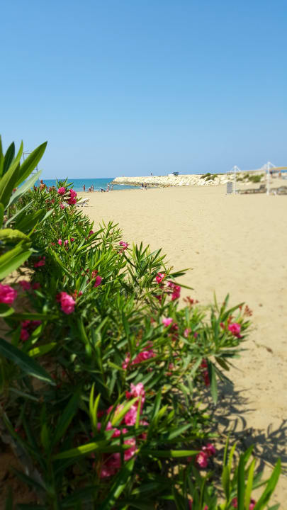 Strand Side Aquamarin Resort & Spa