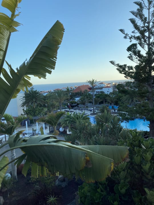 Ausblick allsun App.-Hotel Esquinzo Beach