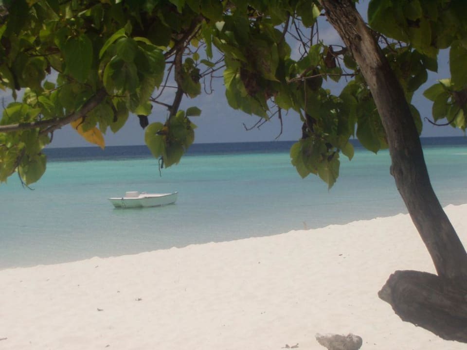 Beim Ausflug auf einer unbew. Insel Eri Maldives