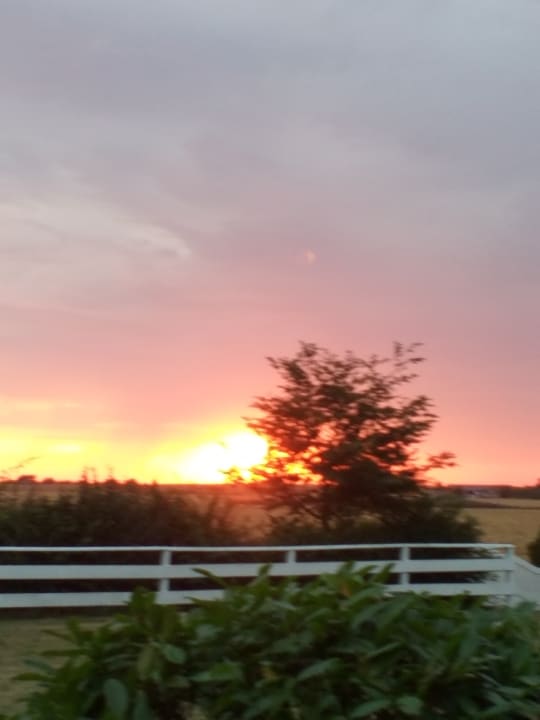 Ausblick Ferienhäuser Bauernhof Haltermann Landurlaub mit Stil