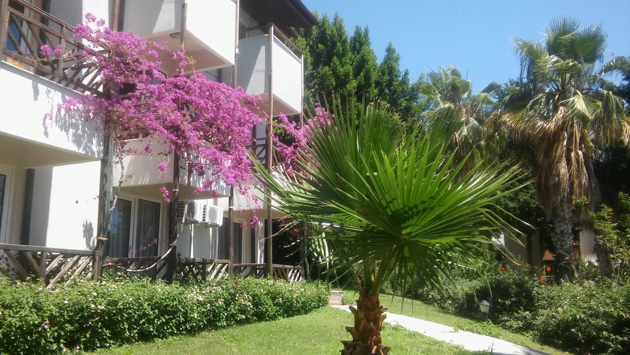 Piękna zielen Justiniano Club Alanya