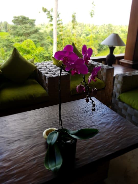 Sonstiges Pita Maha Resort & Spa