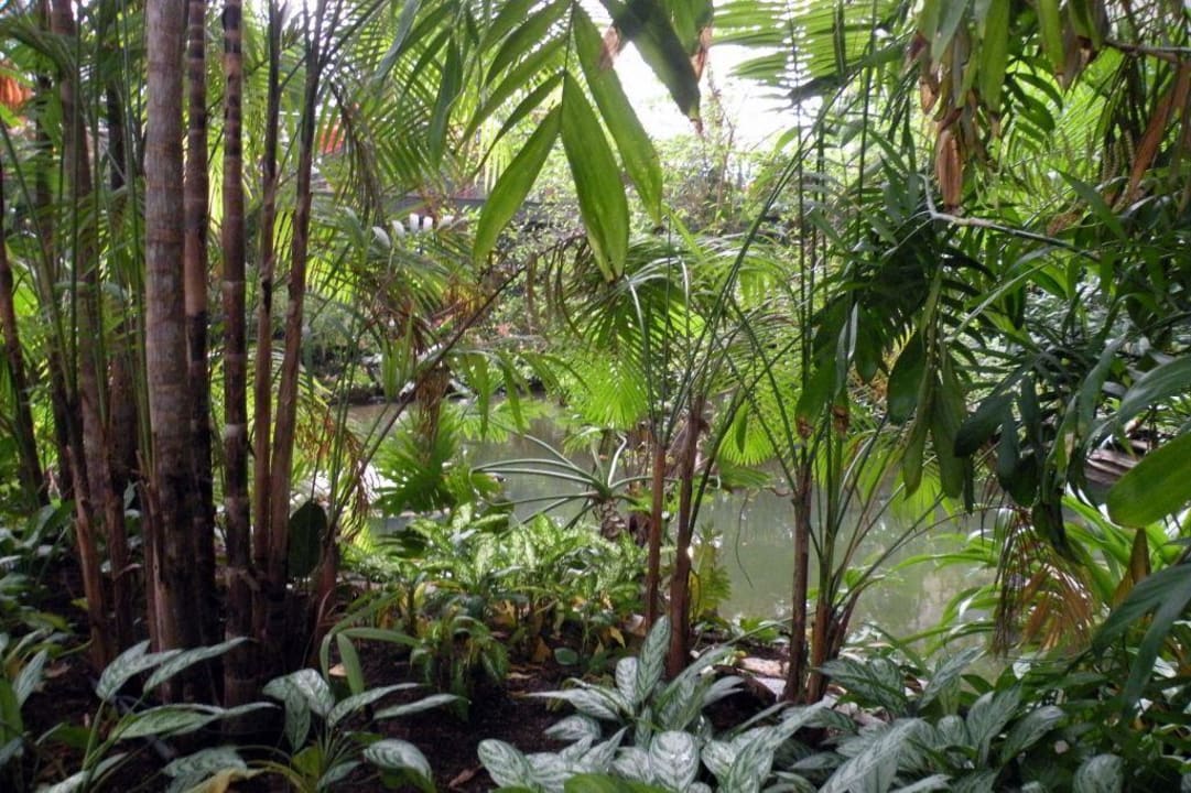 Im Tropenwald Tropical Islands Resort