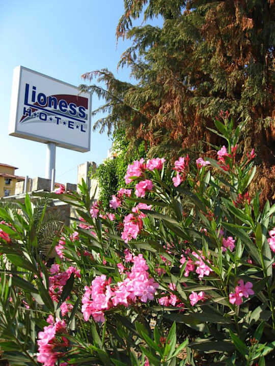 Вход  My Home Sky Hotel