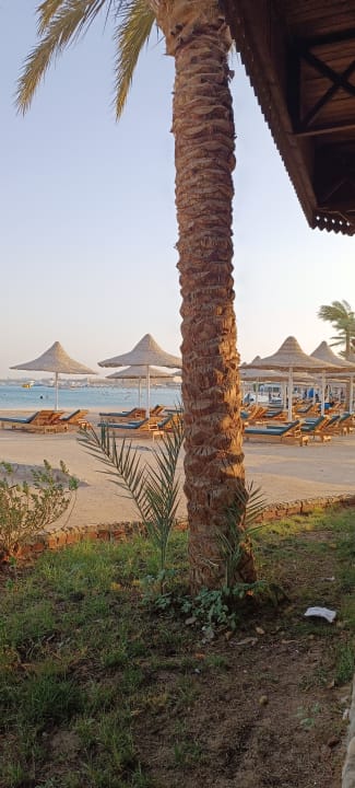 Ausblick Giftun Azur Resort