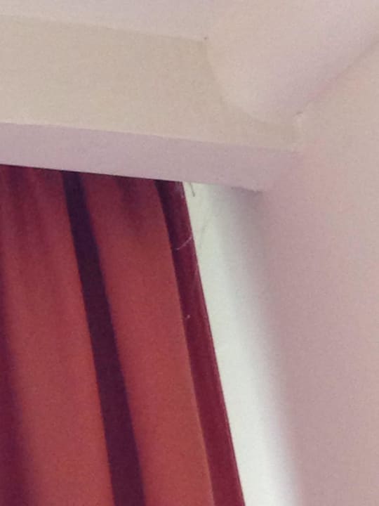 Spinnweben 1 Woche lang nicht entfernt  Eden Hotel by Maistra Collection