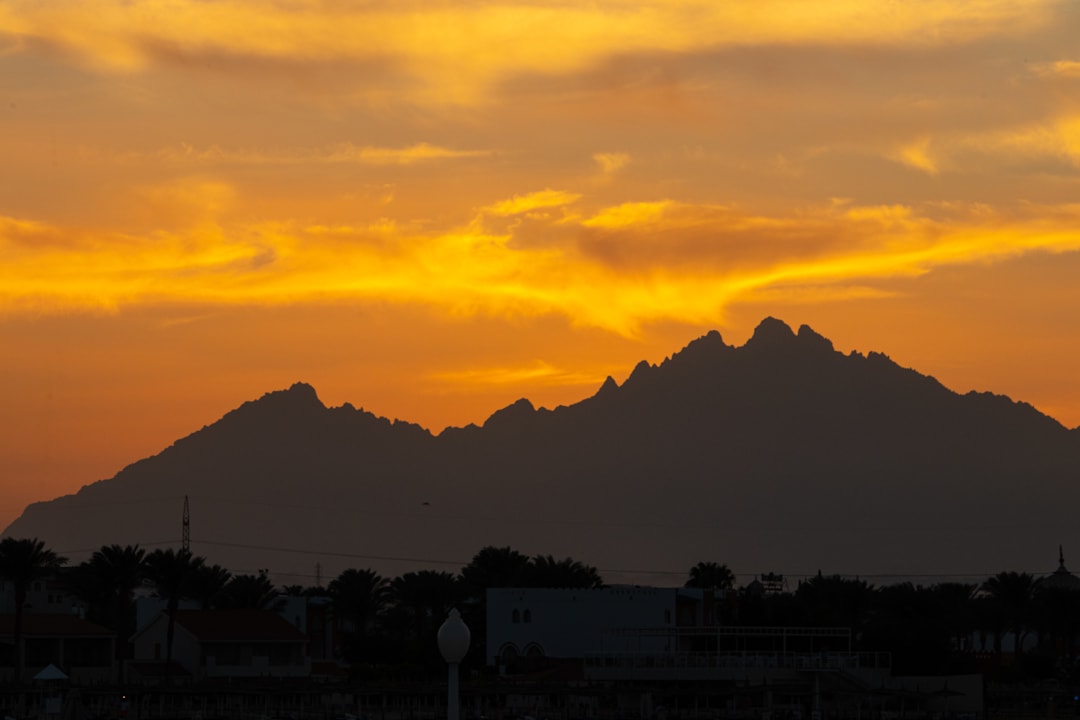 Ausblick Desert Rose