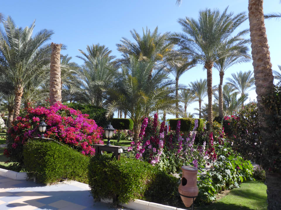 Gartenanlage Brayka Bay Resort