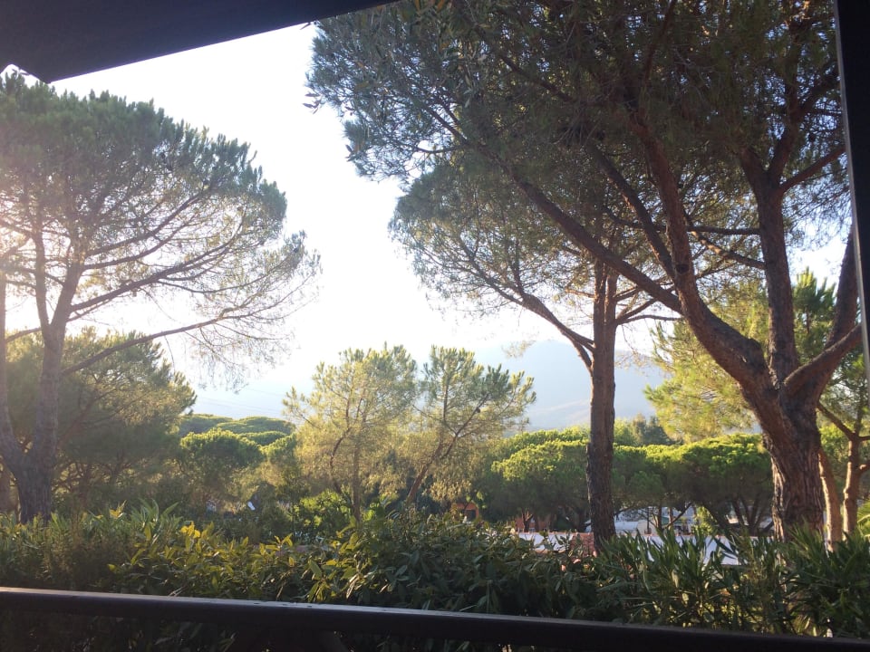 Ausblick vom Bungalow Ville degli Ulivi