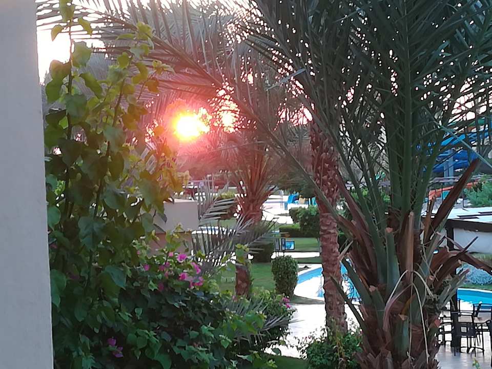 Ausblick JAZ Aquamarine Resort