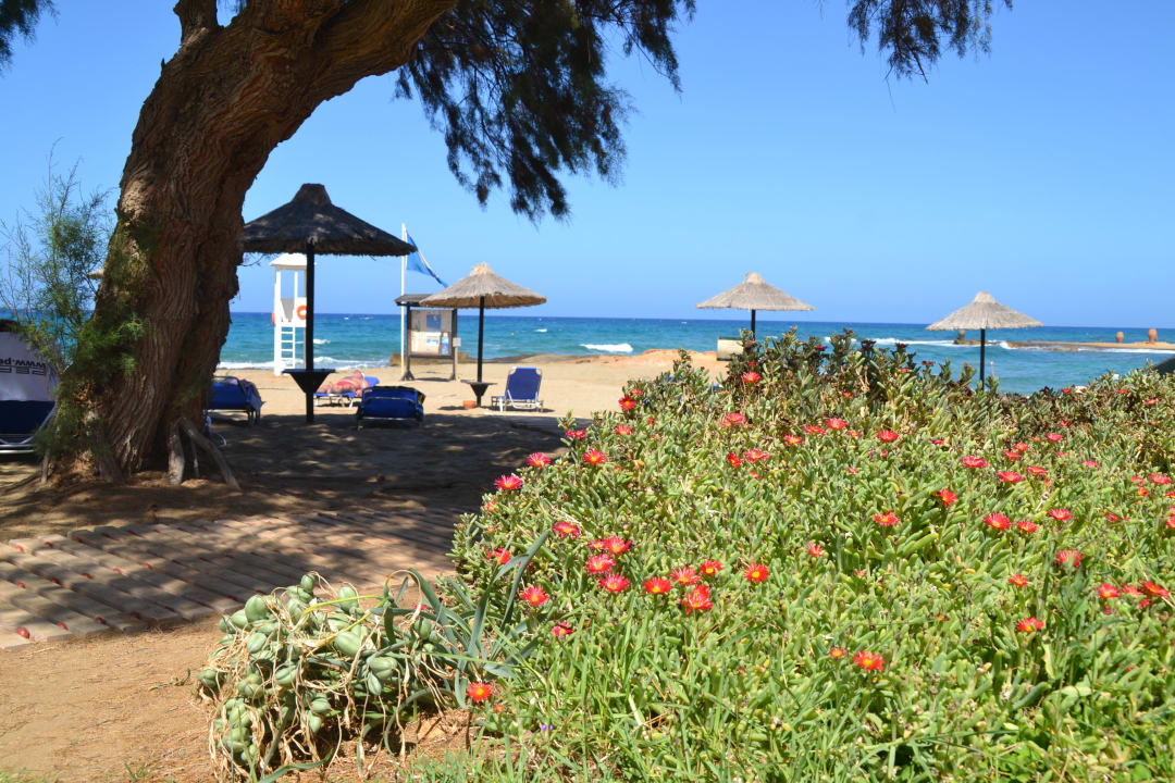 Strand Phãea Cretan Malia