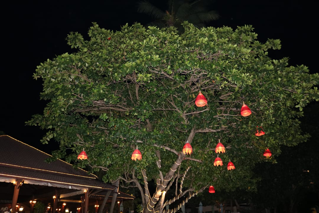 Außenansicht Bo Phut Resort & Spa