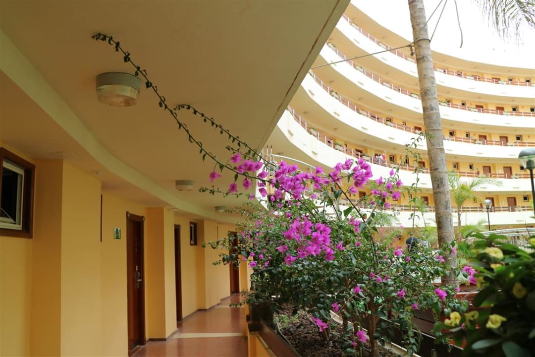 Sonstiges Bull Escorial & Spa