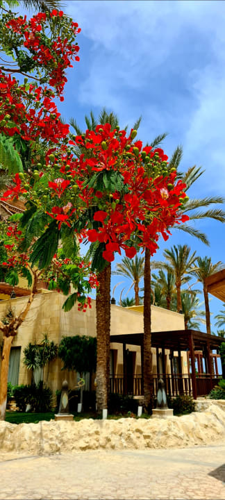 Sonstiges Makadi Spa - Adults only