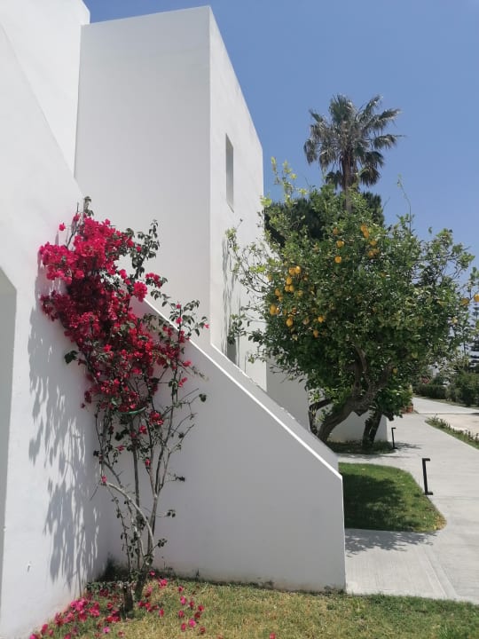 Außenansicht Summer Village of Hippokrates - Adults only