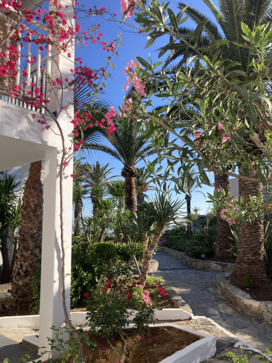 Außenansicht HARPIN Happy Days Beach Hotel