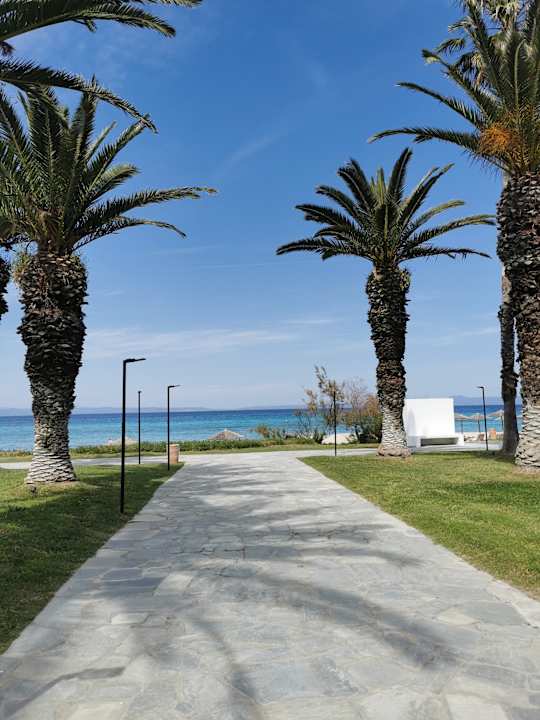 Gartenanlage Kassandra Palace Seaside Resort