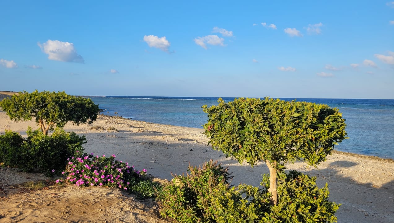 Strand Three Corners Equinox Beach Resort