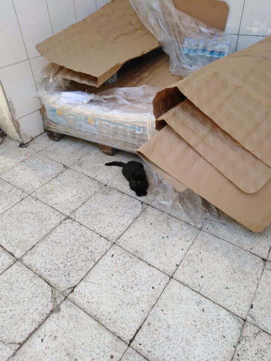 Gartenanlage Dream World Aqua Hotel