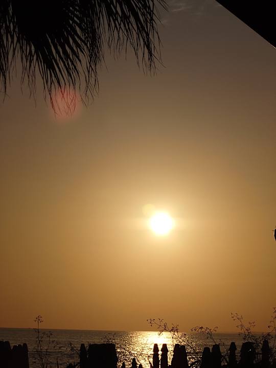 Ausblick PALOMA Perissia