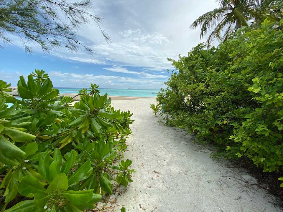 Strand Summer Island Maldives