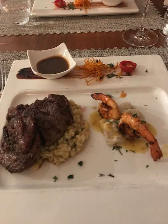 Gastro Acanthus Cennet Barut Collection