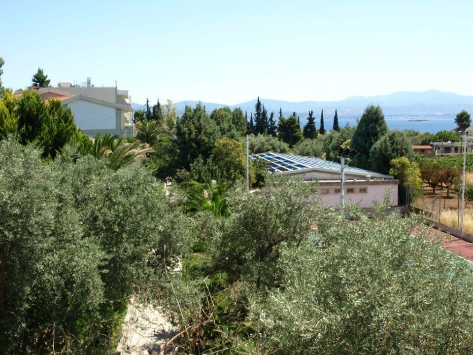 Widok z okna na ogrod Hotel Miramare