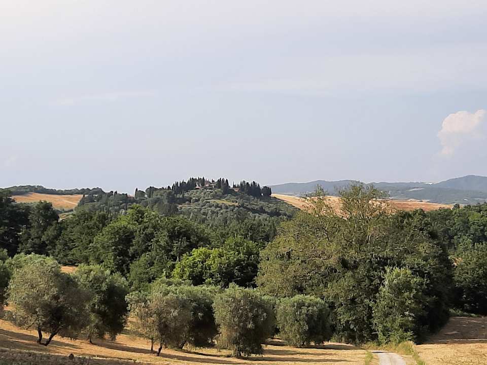 Ausblick Agriturismo Podere Cortilla