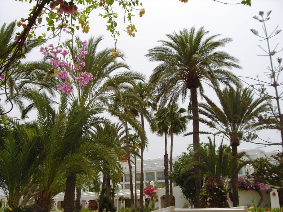 Ausblick von unserem  Bungalow Sahara Beach Club