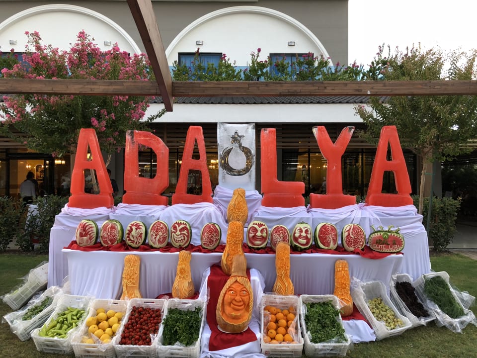 Gastro Adalya Elite Lara