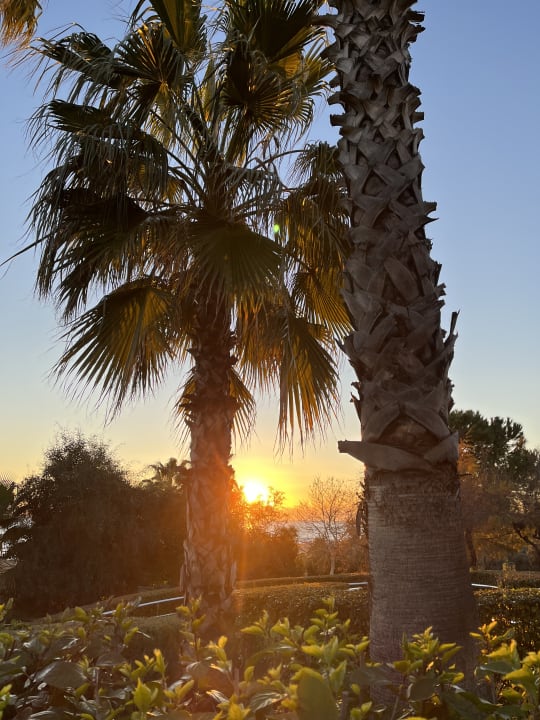 Gartenanlage Trendy Aspendos Beach Hotel