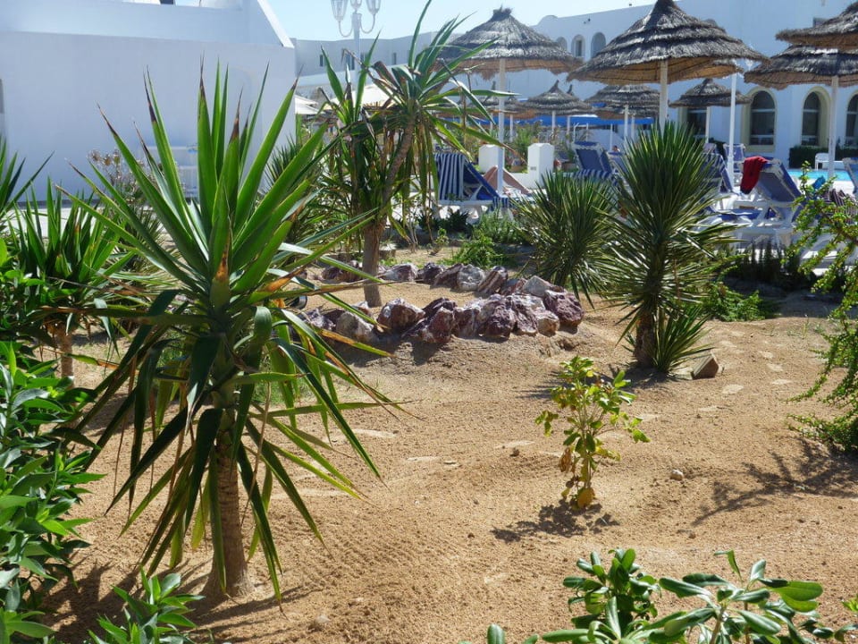 Gepflegte Gartenanlage zwischen Pool und Strand Calimera Yati Beach