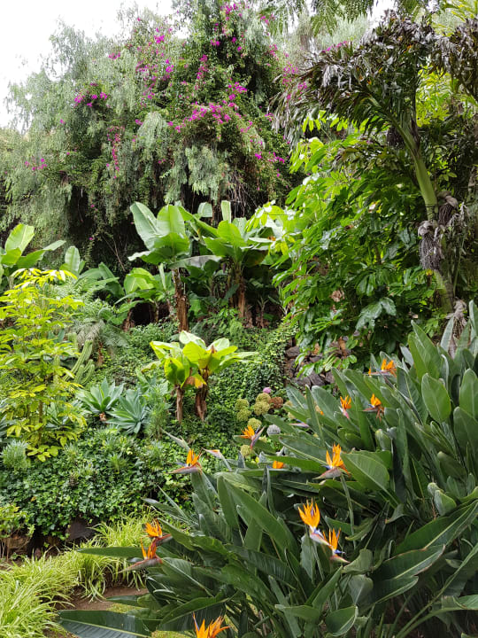 Gartenanlage BLUESEA Costa Jardin Spa