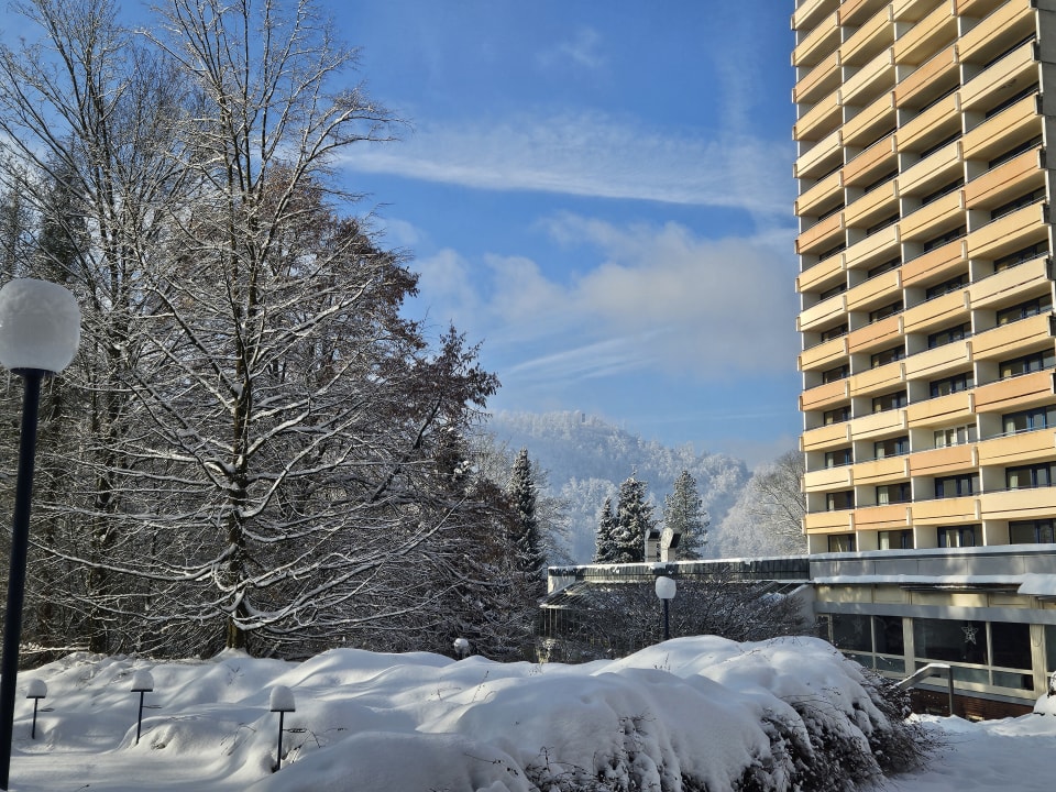 Außenansicht Panoramic - Ihr Apartmenthotel im Harz