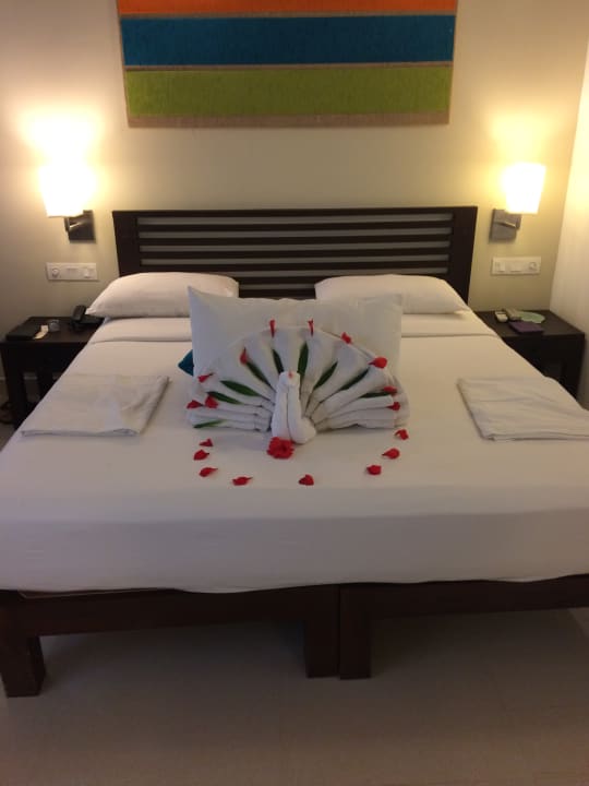 Zimmer Club Hotel Dolphin