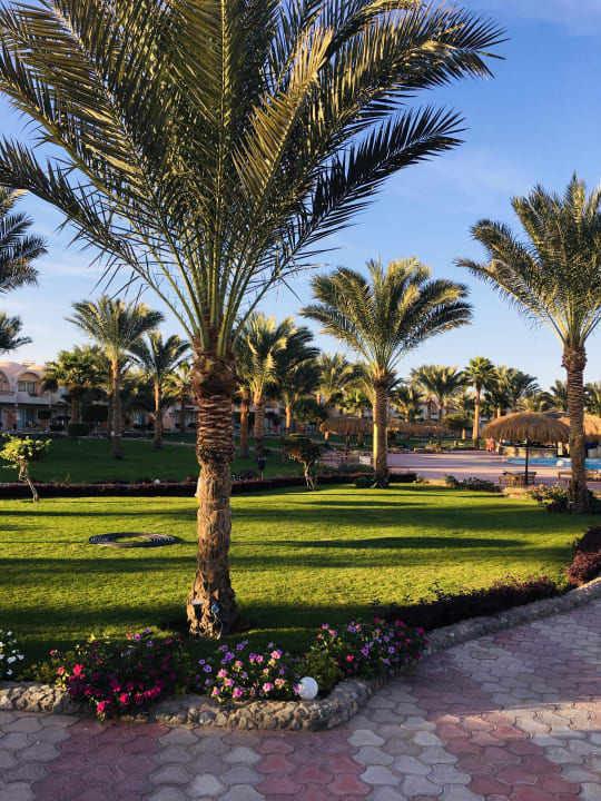 Gartenanlage Three Corners Sea Beach Resort