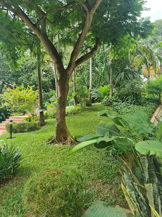 Außenansicht Sea Cliff Resort & Spa